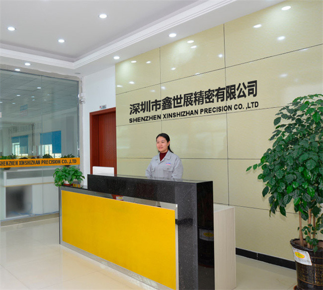 الصين Xinshizhan Precision Co., Ltd. ملف الشركة